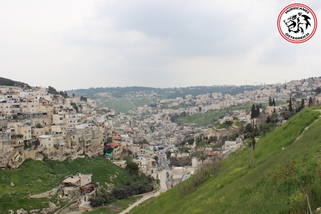 israel - oesterreich 24.3.2019 62